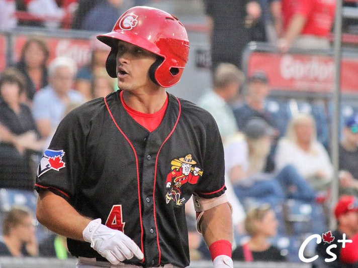 brandon_polizzi_chatting_umpire