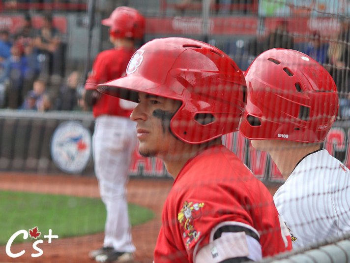 christopher_bec_batting_helmet_bench