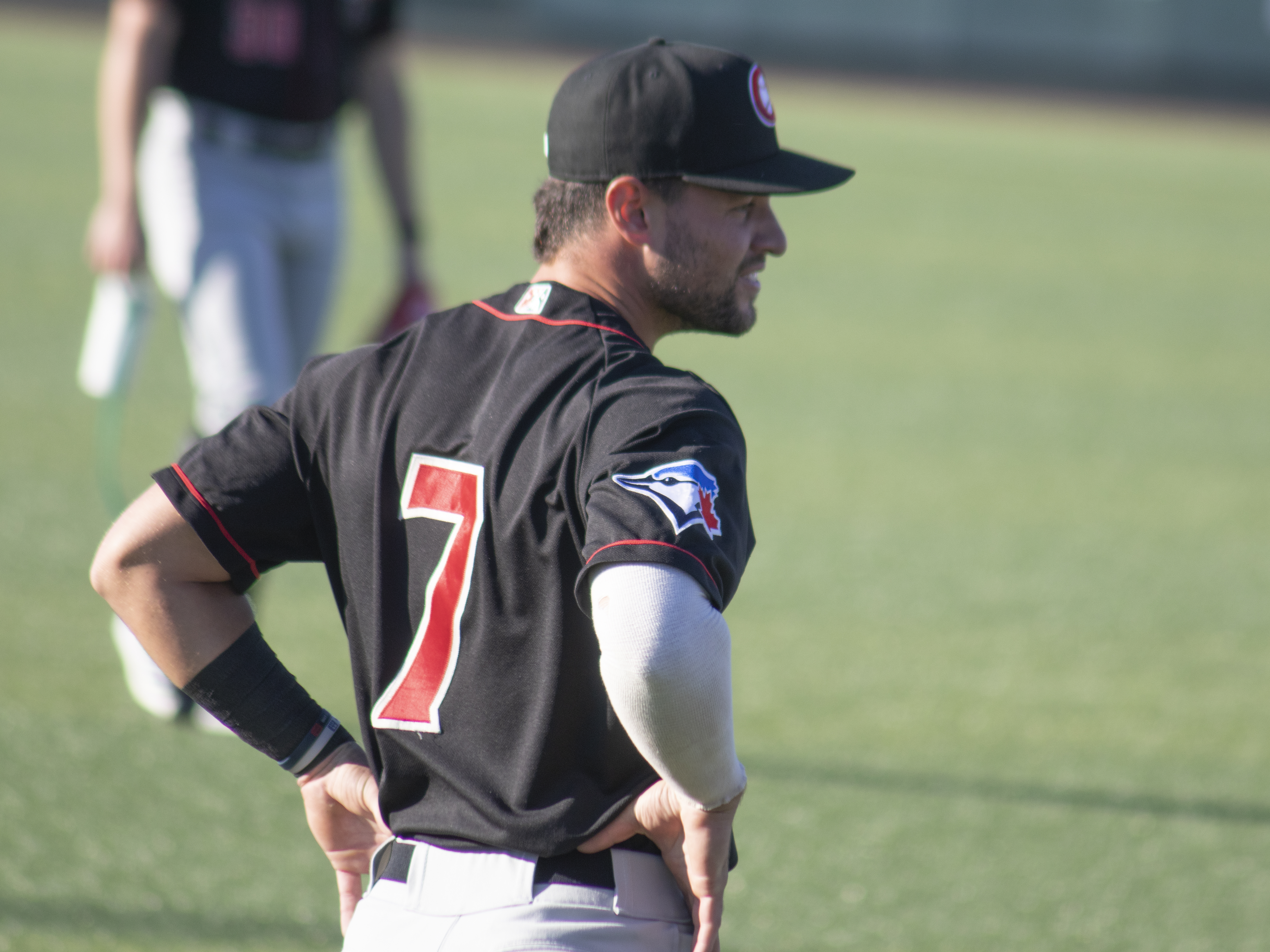 Vancouver Canadians Damiano Palmegiani