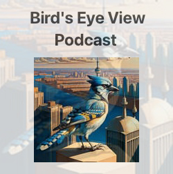 Bird's Eye View Podcast