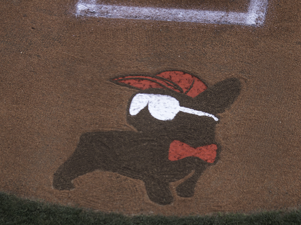 Dog Logo Nat Bailey Stadium
